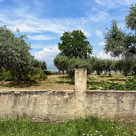 Bivas Thassos