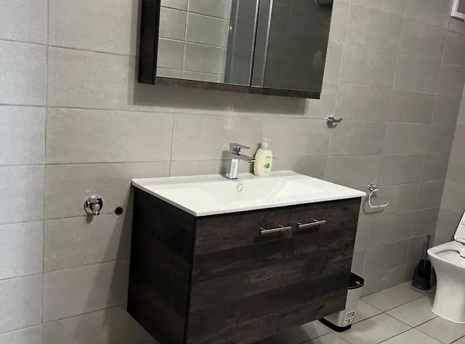 公寓 Bivas 萨索斯